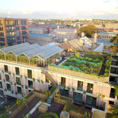 Stadslandbouw op het dak van het PAKT in Antwerpen. © VIBE