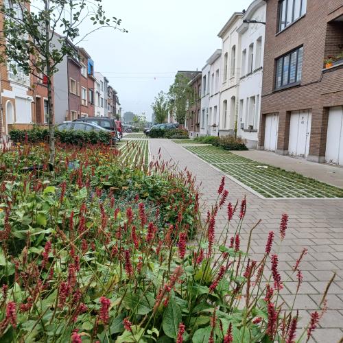 De Jan Olieslagersstraat in Deurne werd omgevormd tot een tuinstraat. © Jan Vilain [ruimtereporter]