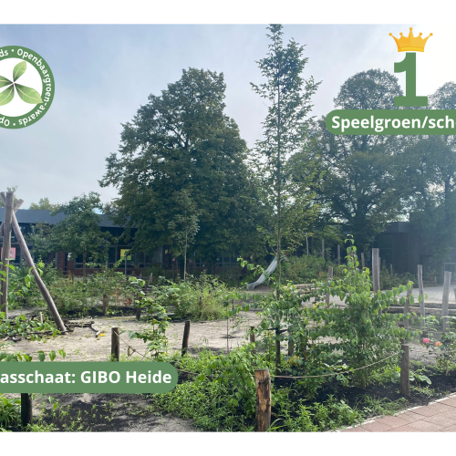 Brasschaat - Speelplaats GIBO Heide © VVOG