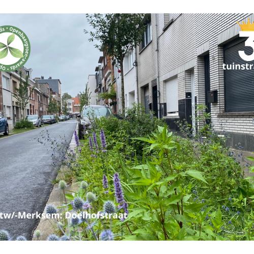 Antwerpen-Merksem - Heraanleg Doelhofstraat © VVOG