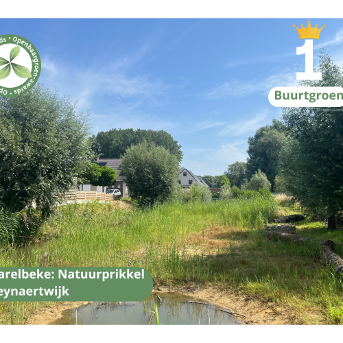 Harelbeke - Natuurprikkel Reynaertwijk © VVOG