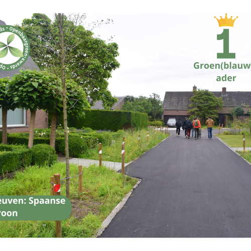 Leuven - Spaanse Kroon © VVOG