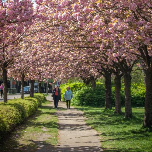 Provinciedomein Rivierenhof, Antwerpen © Kamilla Isalieva / Unsplash