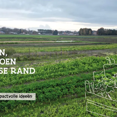 Openbaargroen.be - Campagnebeeld projectoproep Vlaamse Rand © VLM