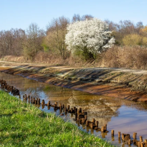 Oeverherstel van de Vrouwvliet. © Antea Group