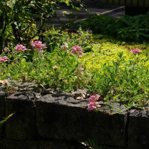 Illustratiebeeld © Naoki Suzuki