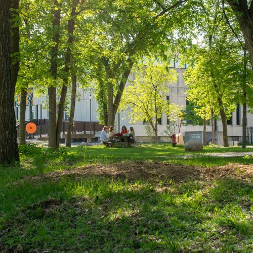 Bezoekers die de omgeving als ‘natuurlijker’ ervoeren en meer vogels opmerkten, rapporteerden een hoger gevoel van rust, herstel en positieve emoties. © Gabriel Ogulu