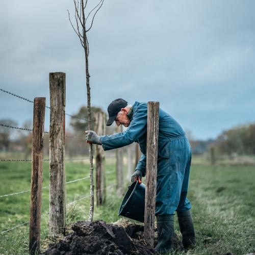Kleine landschapselementen zoals hagen, houtkanten en bomenrijen geven het landschap van Malle meer structuur en versterken de ecologische samenhang tussen natuurgebieden. © Provincie Antwerpen