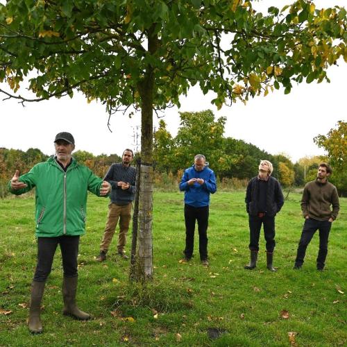 Illustratiebeeld © Agroforestry Vlaanderen