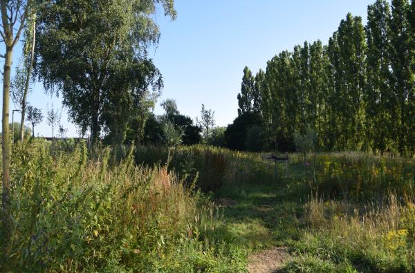 Antwerpen - Park Groot Schijn