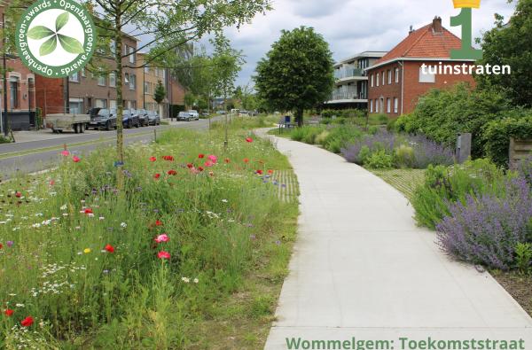 Wommelgem - Toekomststraat © VVOG