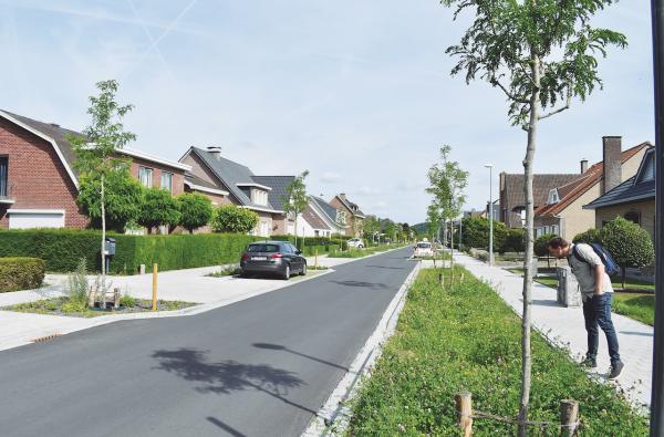 Ontharding van de Pastoor Eeckelaerslaan in Leuven