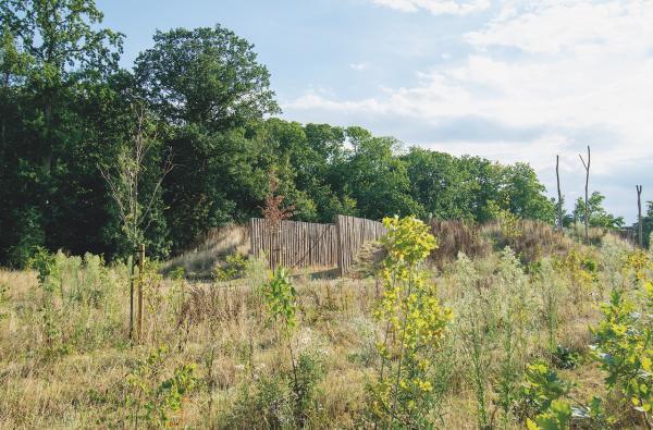 Menapiërspark Nieuwkerken-Waas in Sint-Niklaas