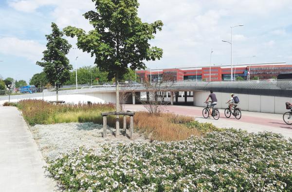 Koning Albert I-laan in Brugge