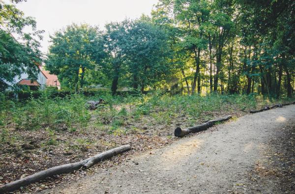 Autoparking wordt stiltebos in Mechelen