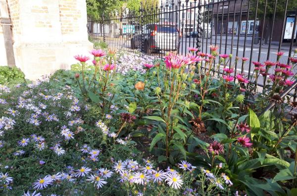 Prairietuin Sint-Lambertuskerk in Ekeren