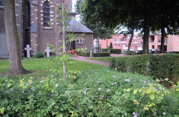 Kerkomgeving Hamont-Achel