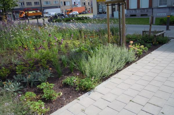 Te Boelaerlei in Borgerhout