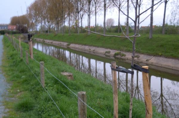 Dijk Hoge Landen in Beveren