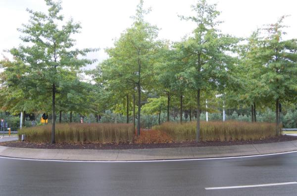 Rotonde Sint-Job in Brecht