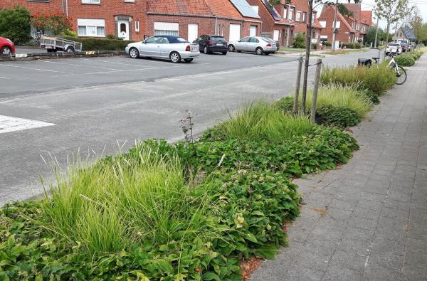 Arendswijk in Harelbeke