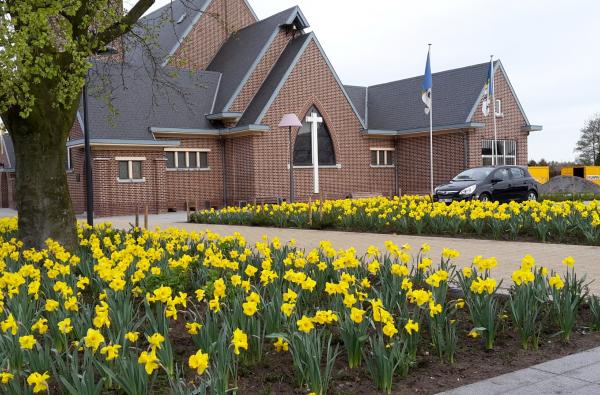 Regenboogplein in Pelt