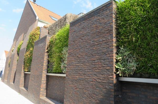 De Bormte in Stekene