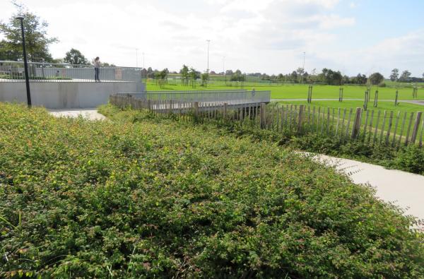 Sportpark Zwevezele in Wingene