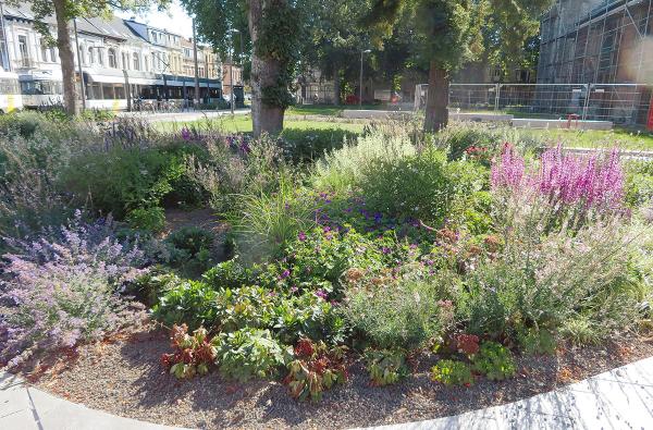 Kioskplaats in Antwerpen-Hoboken