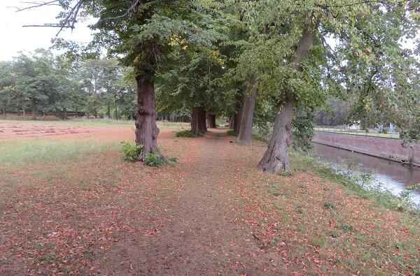 Begraafplaats Schoonselhof in Antwerpen