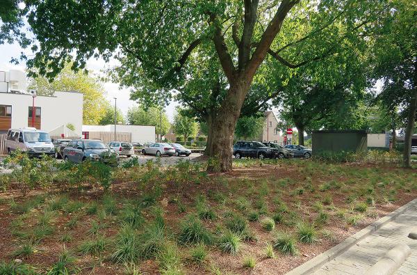 Oud-strijdersplein in Lint