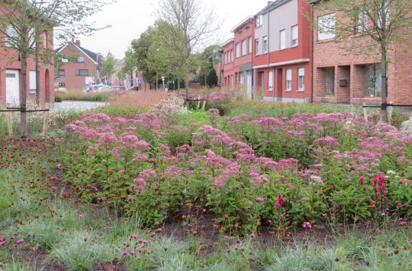 Gemeenteplein Rijmenam in Bonheiden