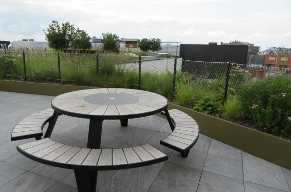 Daktuin stadhuis in Hasselt