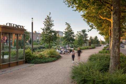De grootste investering van het Zuidpark bevindt zich onder het maaiveld en moet ideale groeiplaatsomstandigheden garanderen voor een park dat meerdere generaties kan groeien. © Isabelle Pateer 