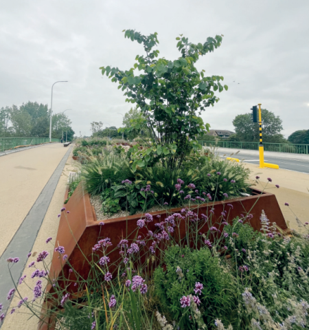 Het Brugpark te Izegem © VVOG