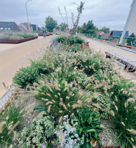 Het Brugpark te Izegem © VVOG