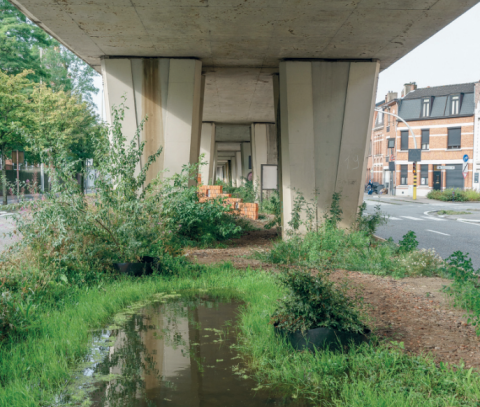 Een kale ruimte onder de brug kreeg een groene invulling met water, kunst en een wandelpad © Stramien cv