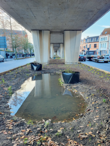 Project 33 tijdens de aanleg (november 2023) en een jaar later. © Stramien cv