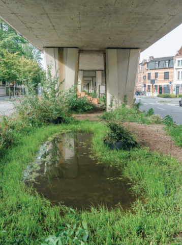 Project 33 tijdens de aanleg (november 2023) en een jaar later. © Stramien cv