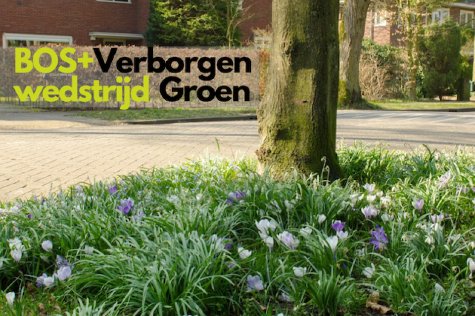 Verborgen Groen: bezoek een lokale onbekende groenplek en win een prijs