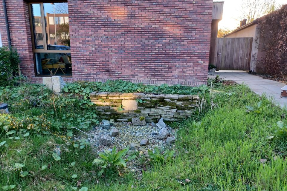 Biodiverse voortuin met wadi in Deurne © Jan Vilain