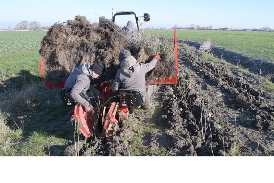 Houtkanten worden aangeplant met een speciaal gebouwde machine. © VLM