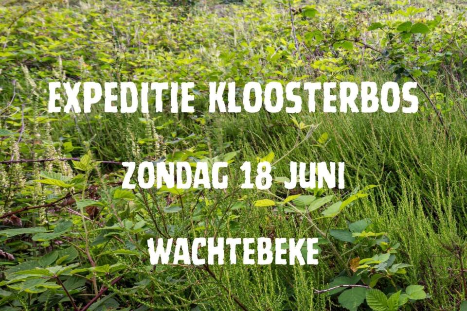 Expeditie Kloosterbos © Wachtebeke