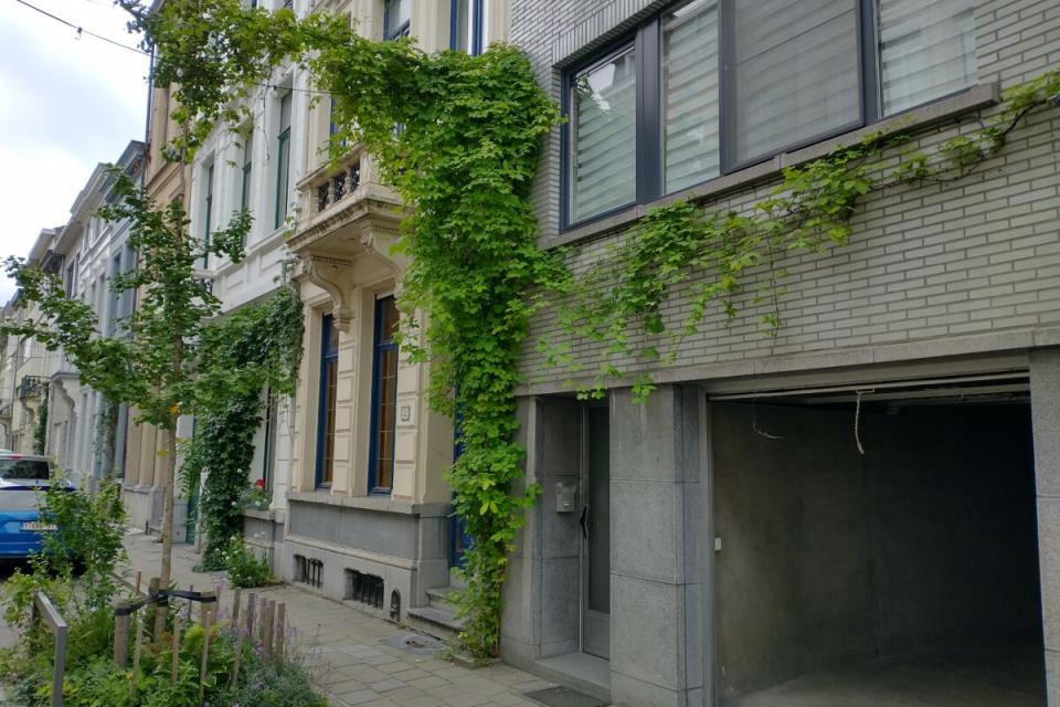 Infosessie gevelgroen © Groene Gevels vzw