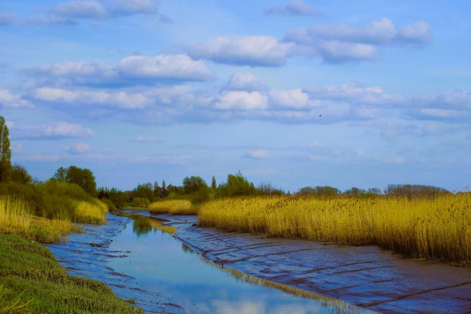 Een natuurlijke structuur verhoogt het zelfzuiverend vermogen en de waterkwaliteit van waterlopen © Jan Van Bizar / Pixabay