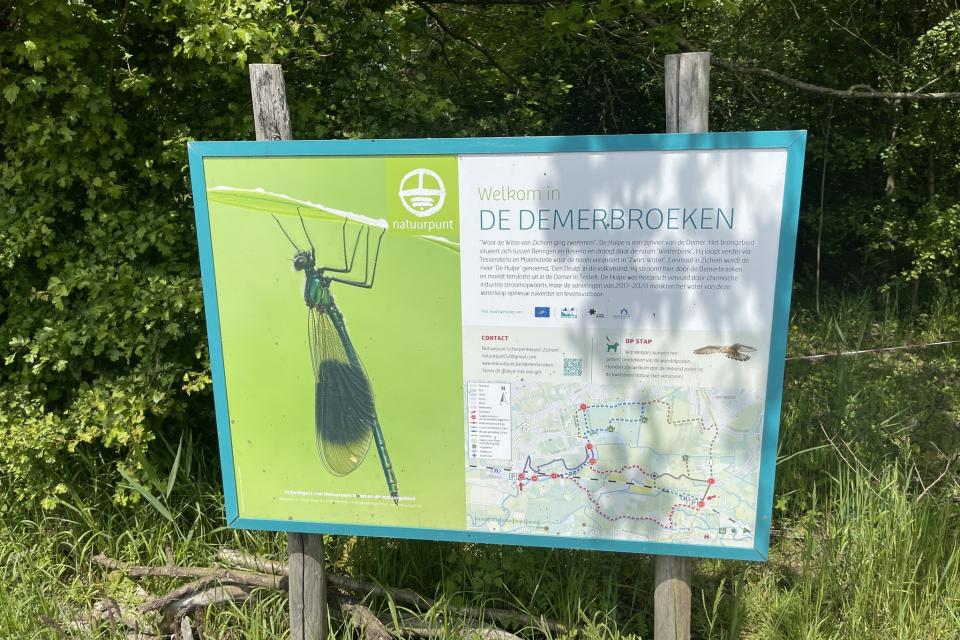 De Demerbroeken is een uitgestrekt natuurgebied tussen Aarschot en Diest. © FrDr  Wikimedia Commons