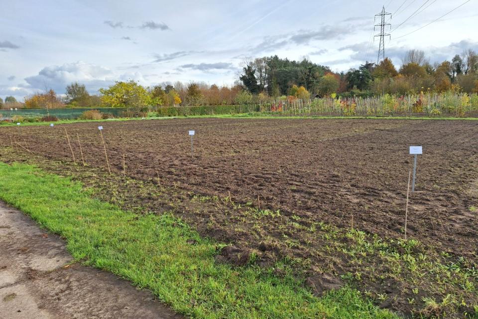 Een proefveld met inheemse kruidachtigen. © VLM