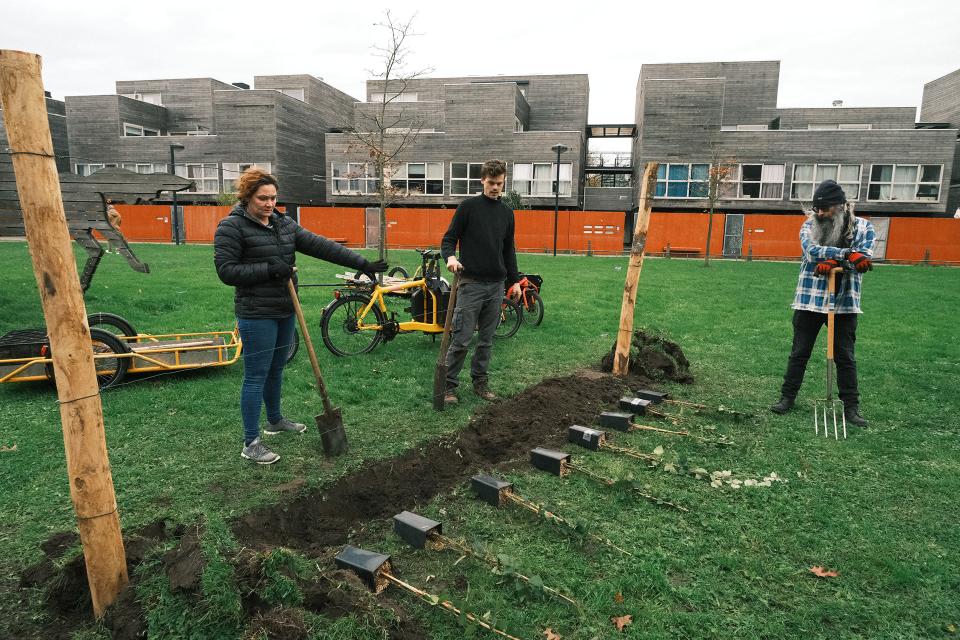 De aanplanting van fruitbomen in Gent. © Fruitstraat.be