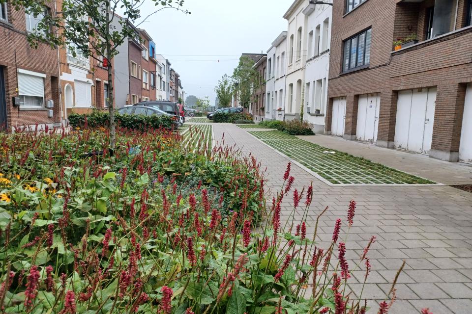 De Jan Olieslagersstraat in Deurne werd omgevormd tot een tuinstraat. © Jan Vilain [ruimtereporter]
