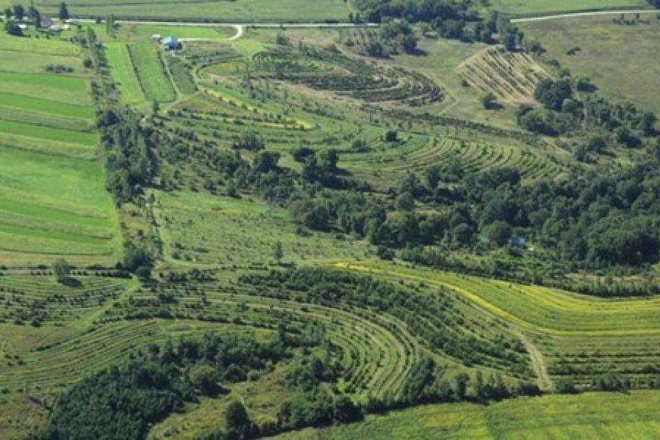 Illustratiebeeld © organisatoren studiedag